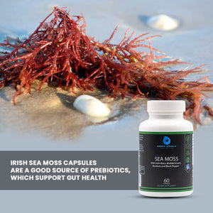 Orbit Vitals Sea Moss with Irish Moss, Bladderwrack, Burdock, and Black Pepper