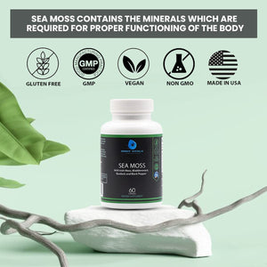 Orbit Vitals Sea Moss with Irish Moss, Bladderwrack, Burdock, and Black Pepper