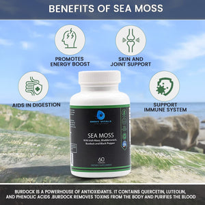 Orbit Vitals Sea Moss with Irish Moss, Bladderwrack, Burdock, and Black Pepper